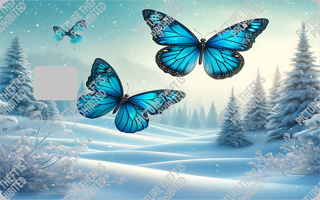 Bank  Card Sticker-BC-2423